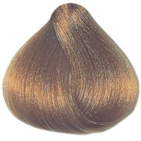 cramer82nb12_S.jpg