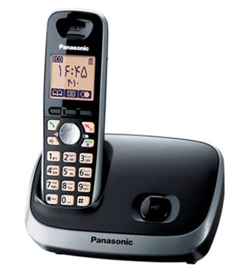 pan6511b.jpg