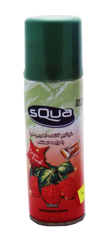 tameshk26690b.jpg