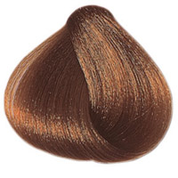 cramer736nb1_S.jpg